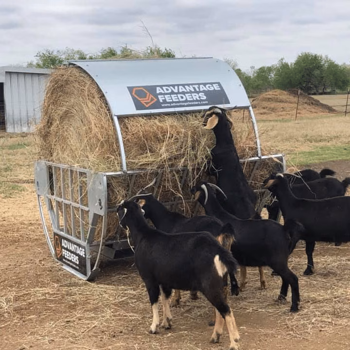 Cradle Hay Feeder - Image 3