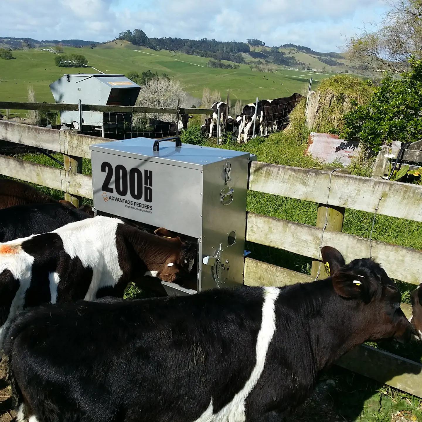 200HD Grain Feeder - Image 4