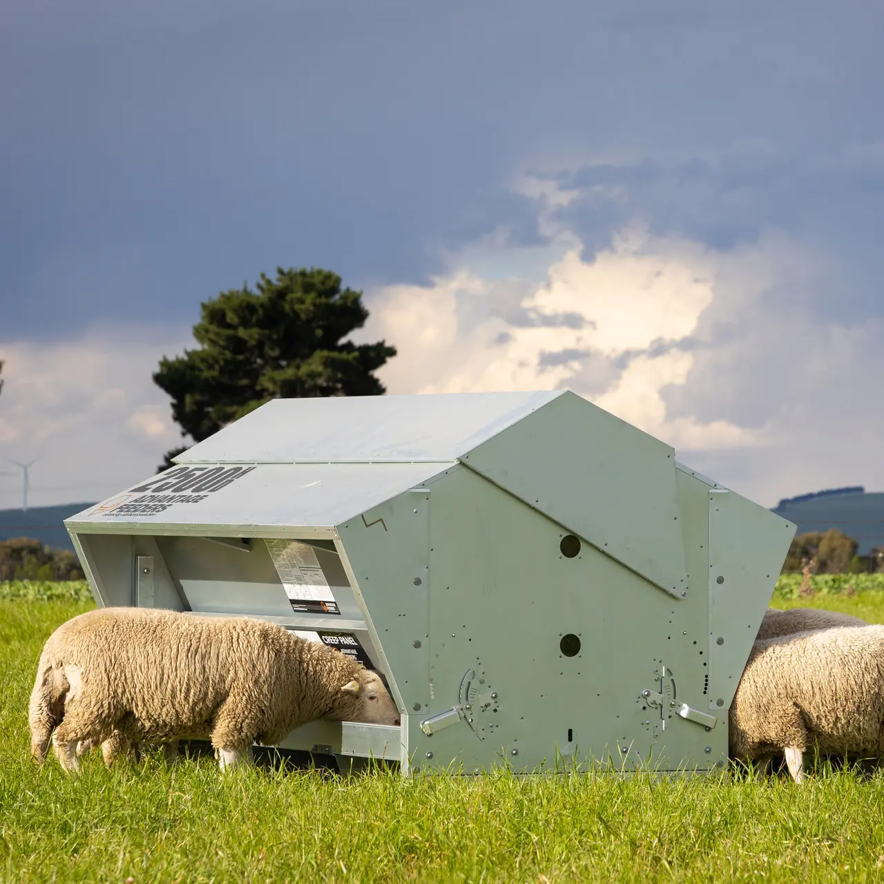 2500HD Grain Feeder - Image 5