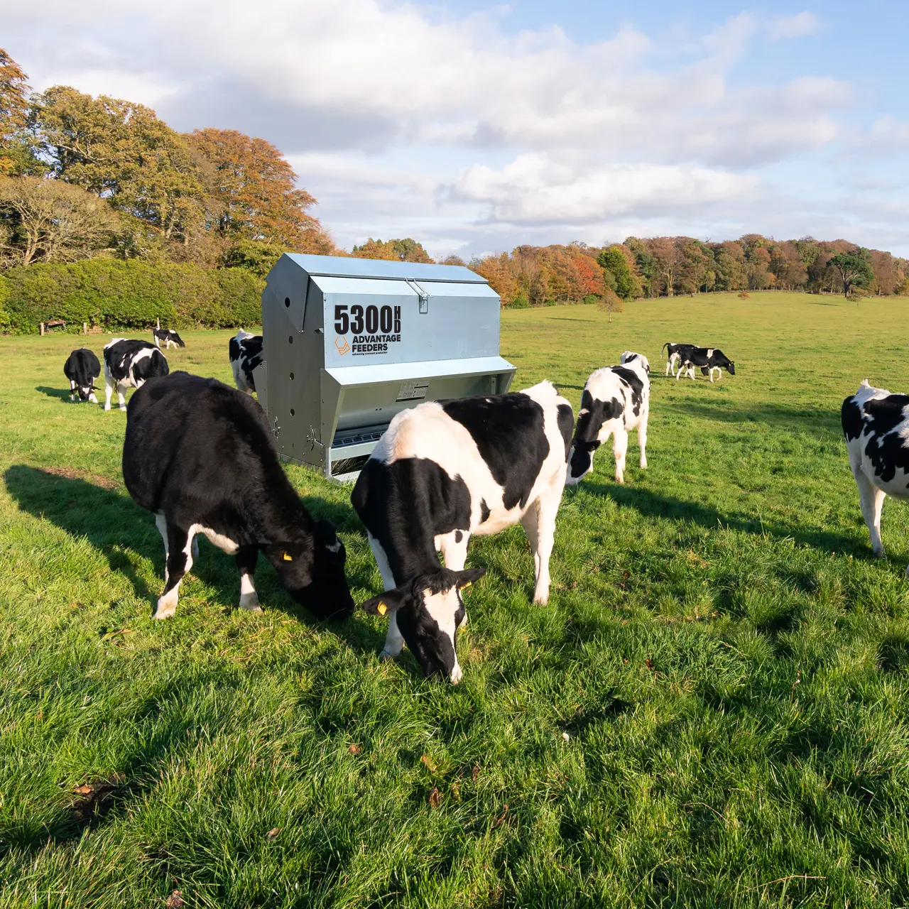 5300HD Grain Feeder - Image 3