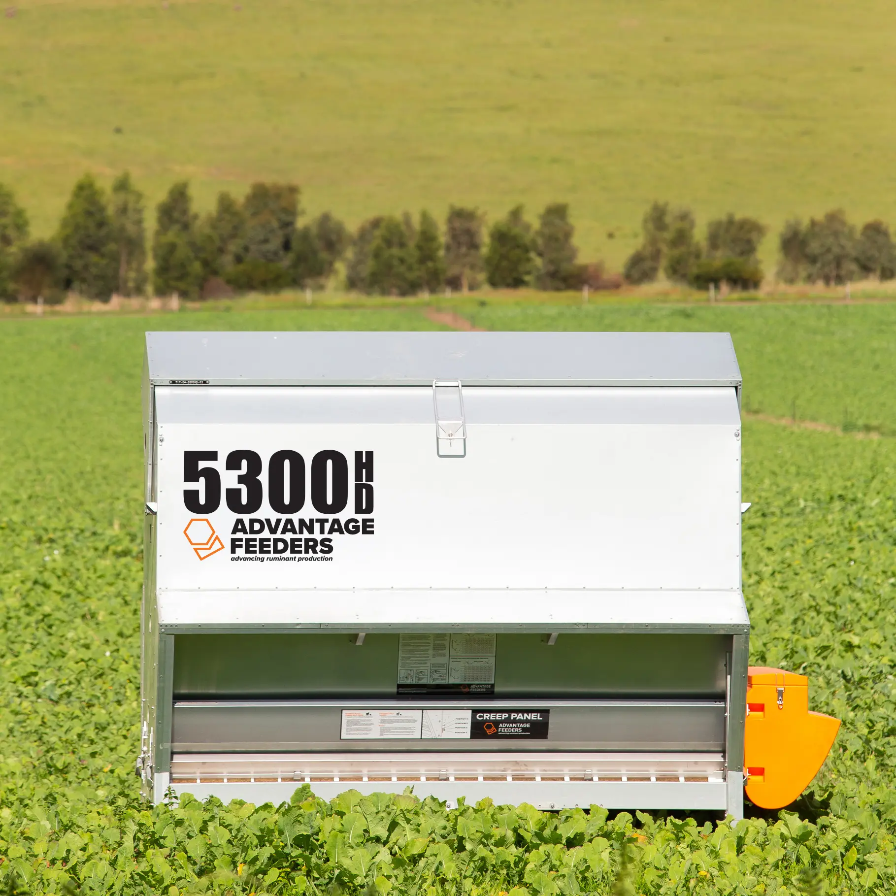 5300HD Grain Feeder - Image 5
